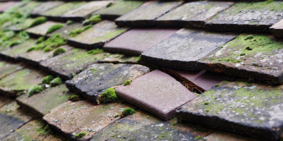 Aberffraw roof repair costs